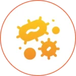 Orange bacteria illustration on white circle background.