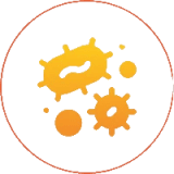Yellow bacteria icons on black circular background.