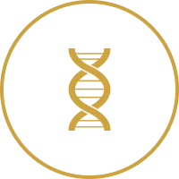 Gold DNA helix icon on black background.