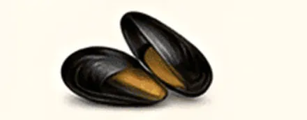 Two open black mussel shells on white.