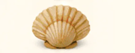 Scallop shell-shaped pastry on white background.