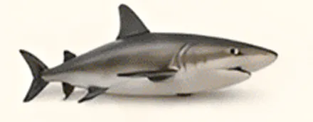 Plastic model of a great white shark.