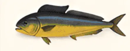 Illustration of a colorful fish species.