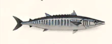 Illustration of a striped fish on white background.