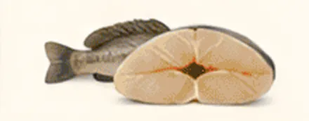 Fish with cross-section slice displayed.
