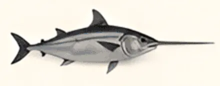 Illustration of a swordfish facing right.