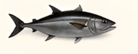 Tuna fish illustration with open mouth.
