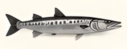Illustration of a barracuda fish.
