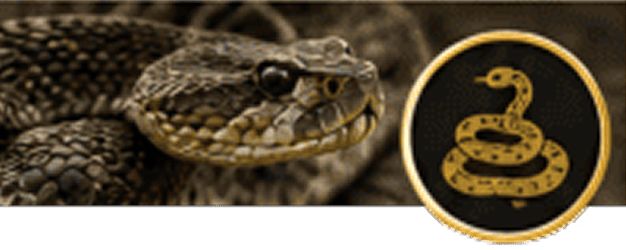 Rattlesnake close-up with snake emblem.