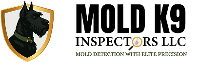 header-1_logo_image